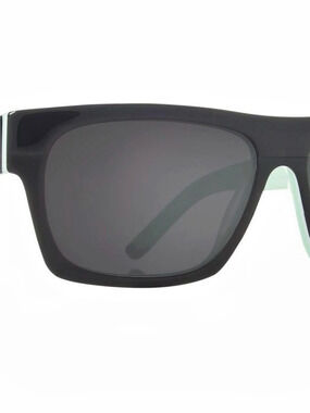 Dragon Viceroy Sunglasses Jet Mint NEW